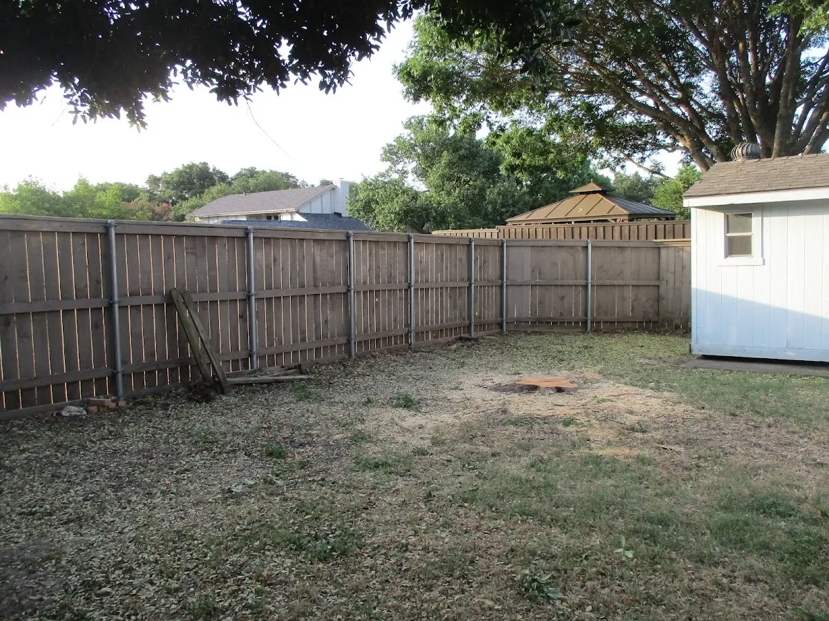 Cleared yard after professional tree removal in Falfurrias